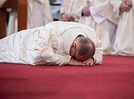 Fotogalerie z biskupského svěcení v Litoměřicích