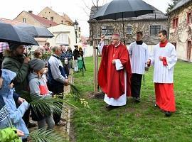 Obřady Květné neděle v litoměřické katedrále